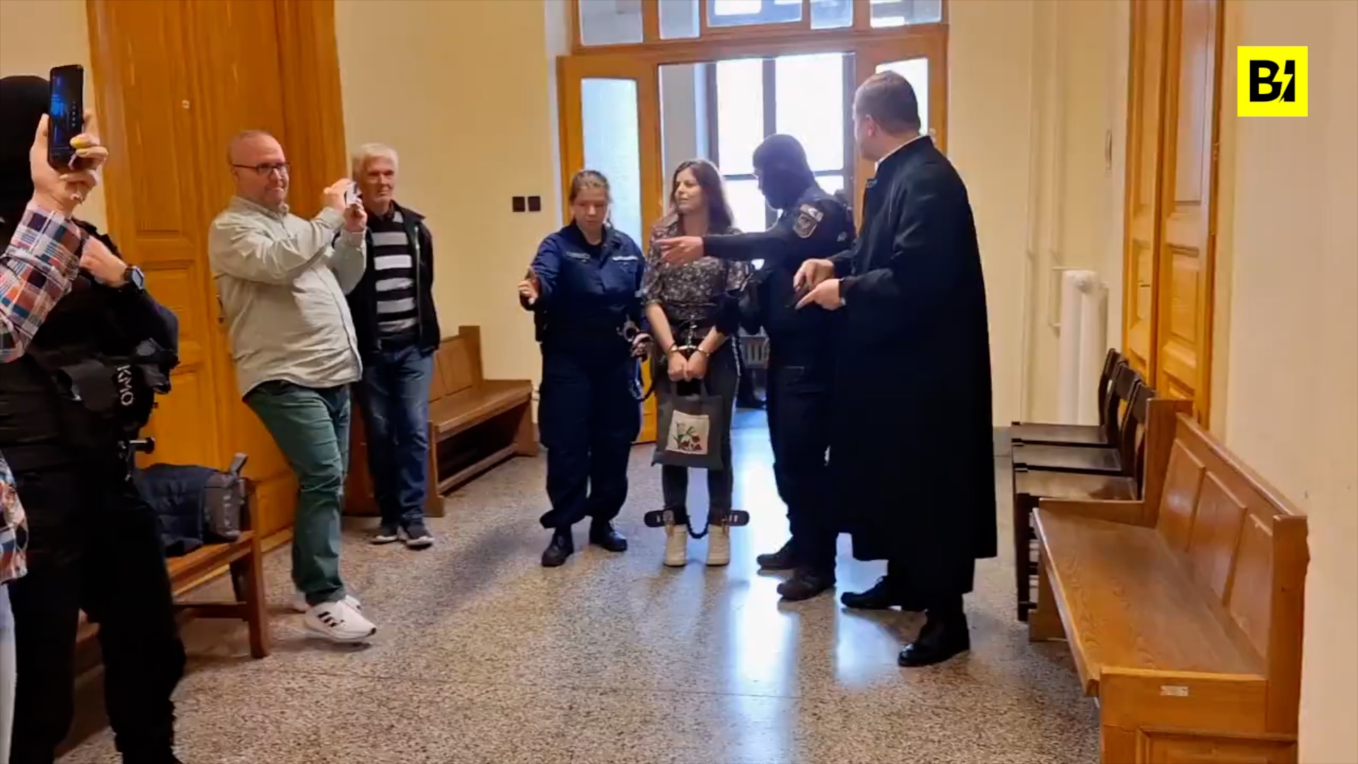 Budapest, Ilaria Salis in tribunale ancora in catene