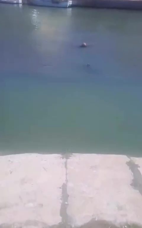 Mazara del Vallo, olvida el freno de mano y acaba en el mar (otra vez)
