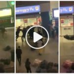 Frau schlug auf der Straße zu, Passanten massakrierten den Angreifer: schockierendes Video