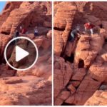 Sie verwüsten den Nationalpark, machen Jagd auf Vandalen: Video veröffentlicht