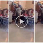 Prof. im Lachkurs geohrfeigt, Video online: verhaftet