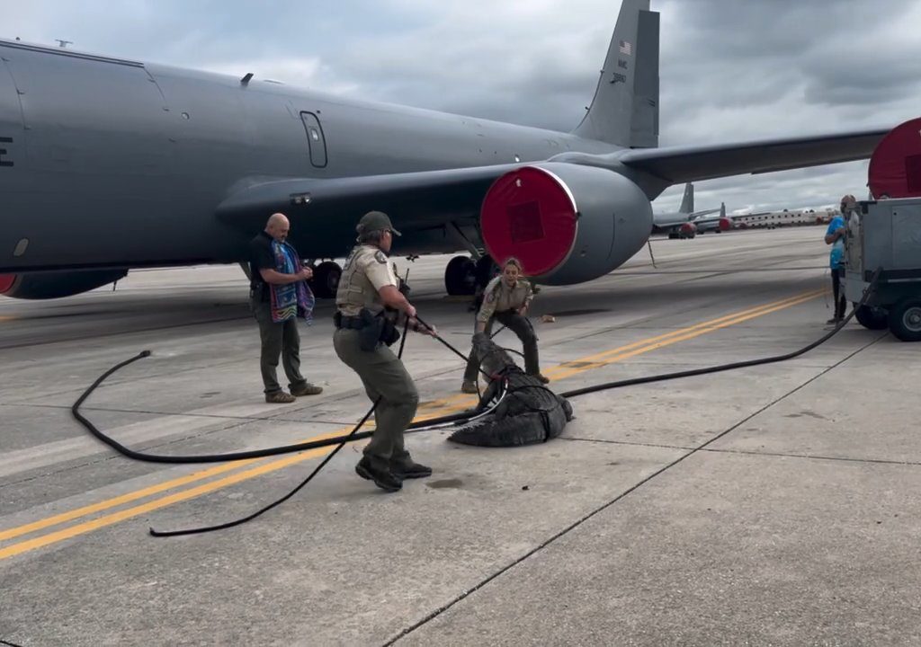 Alligator blockiert einen amerikanischen Luftwaffenstützpunkt: Er war unter einem Flugzeug eingeschlafen