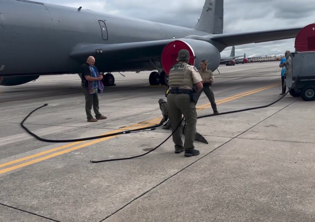 Alligator blockiert einen amerikanischen Luftwaffenstützpunkt: Er war unter einem Flugzeug eingeschlafen