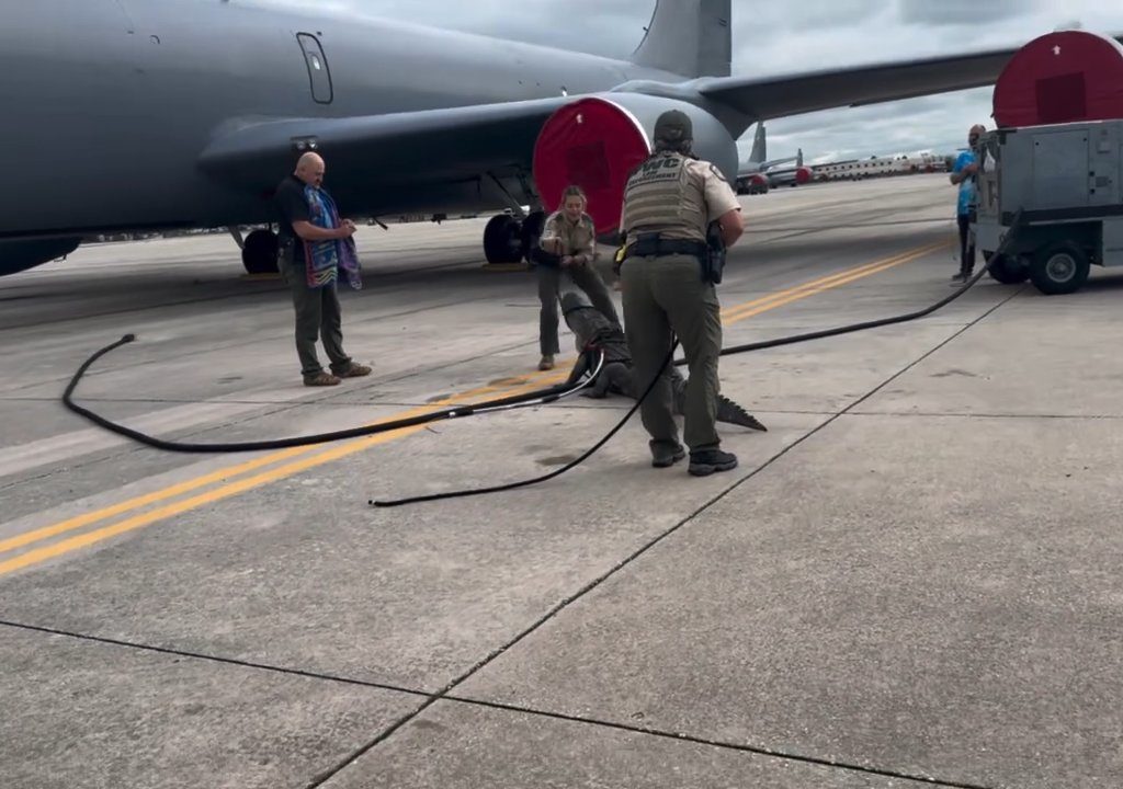 Un caimán bloquea una base aérea estadounidense: se había quedado dormido debajo de un avión