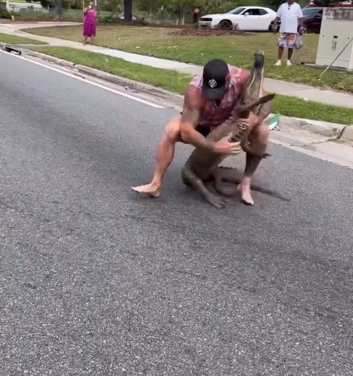 Caimán causa pánico en la ciudad, luchador de MMA lo captura con las manos y los pies desnudos