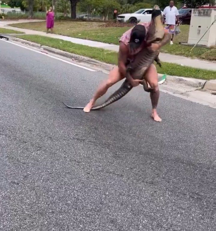 Caimán causa pánico en la ciudad, luchador de MMA lo captura con las manos y los pies desnudos