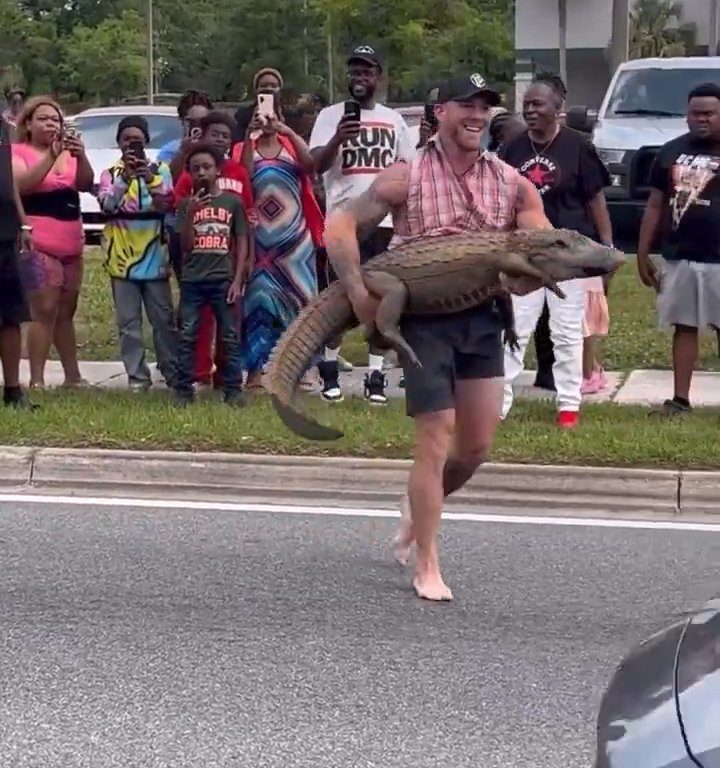 Caimán causa pánico en la ciudad, luchador de MMA lo captura con las manos y los pies desnudos