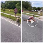 Caimán causa pánico en la ciudad, luchador de MMA lo captura con las manos y los pies desnudos