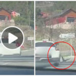 Kleines Mädchen, das nicht im Autositz angeschnallt ist, fällt in einer Kurve aus dem Fenster: schockierendes Video