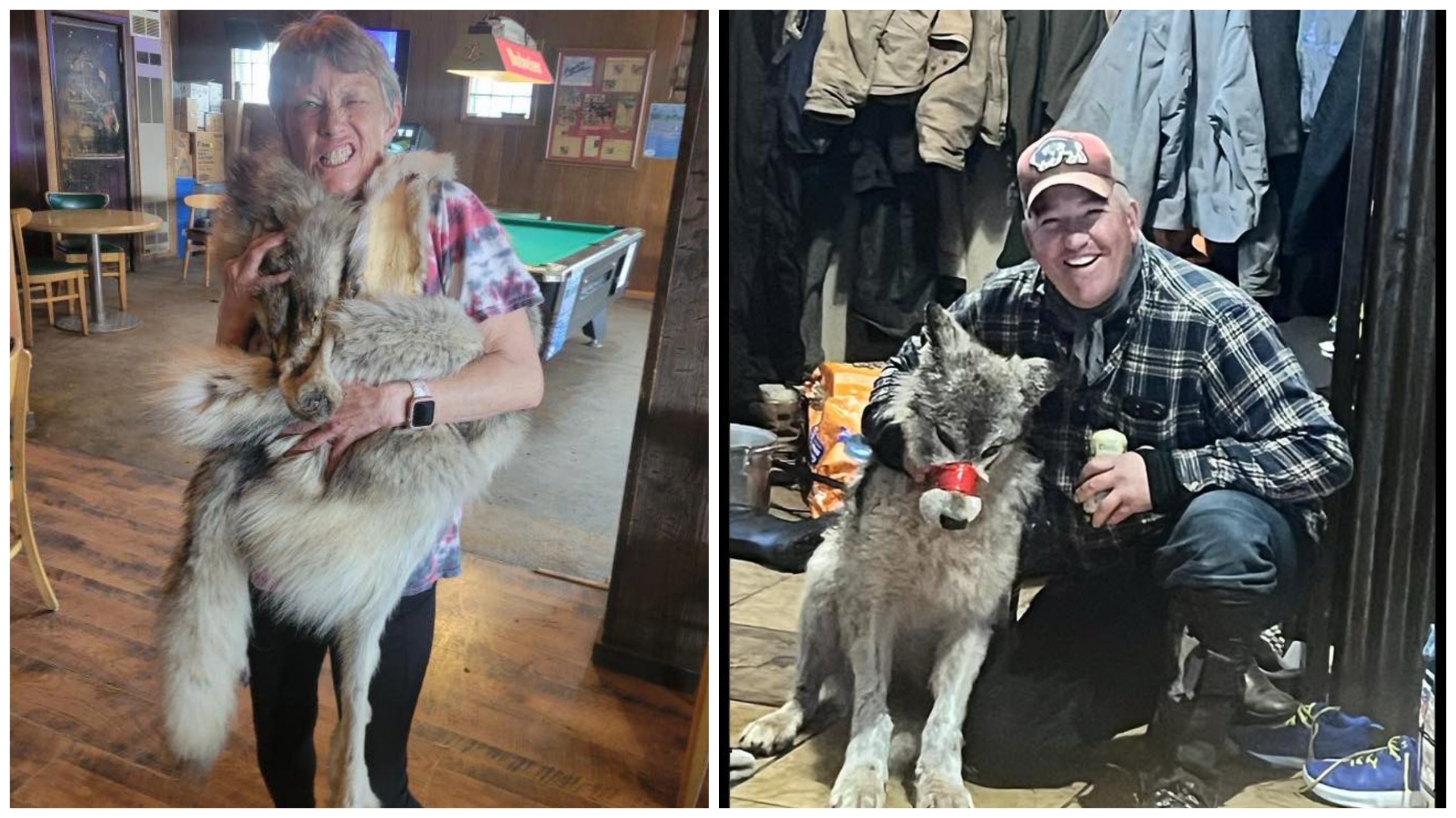 Chasseur cruel, il capture le loup et le fait défiler dans le bar, pour finalement l'écorcher.