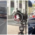 Los caballos fugitivos del Palacio de Buckingham causan pánico en Londres: vídeo