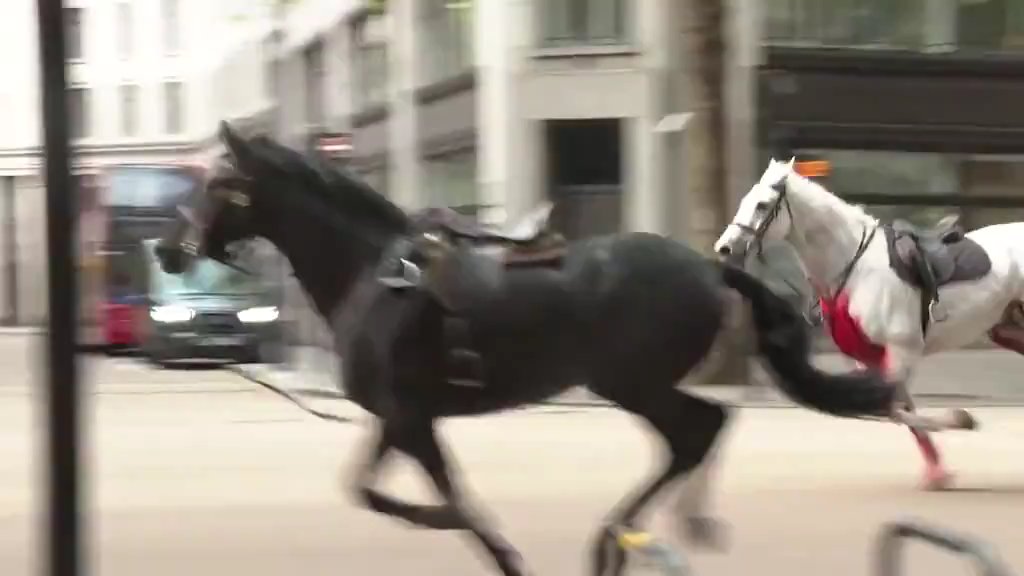 Causan pánico en video de Londres