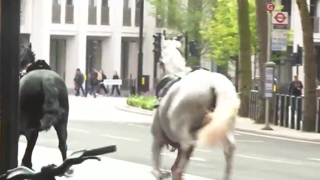 Causan pánico en video de Londres