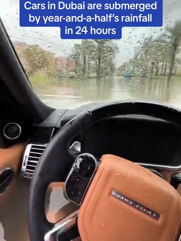 Dubaï inondée, la Tesla réussit le test sous-marin : la folle vidéo