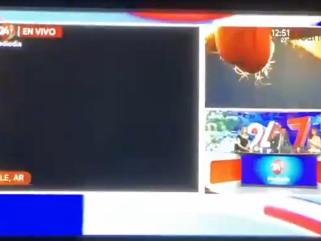 Eclipse testicular en vivo en las noticias, vergüenza en el estudio de video viral