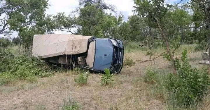 Un éléphant capturé lors d'un safari devient fou furieux et attaque la voiture d'un homme mort