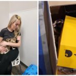 La familia devuelve Amazon pero el gato va a la caja segura después de una semana