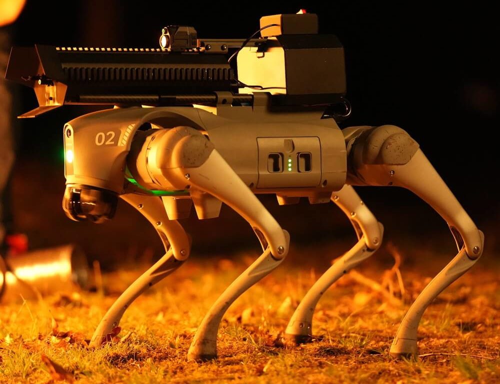 Der Thermonator, ein Verteidigungsroboterhund mit Flammenwerfer, ist im Angebot: Hier sind die Kosten