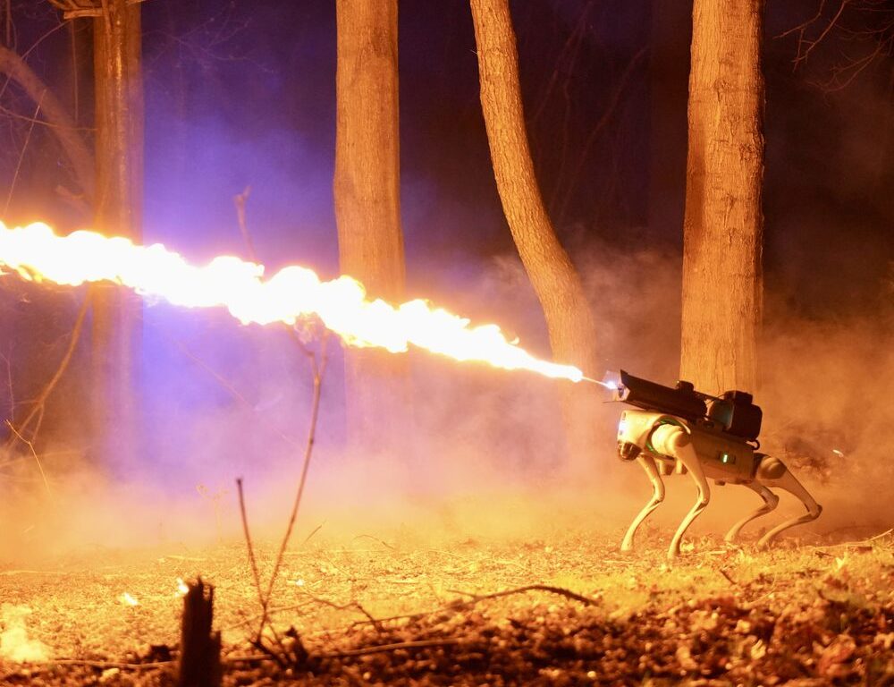 Der Thermonator, ein Verteidigungsroboterhund mit Flammenwerfer, ist im Angebot: Hier sind die Kosten