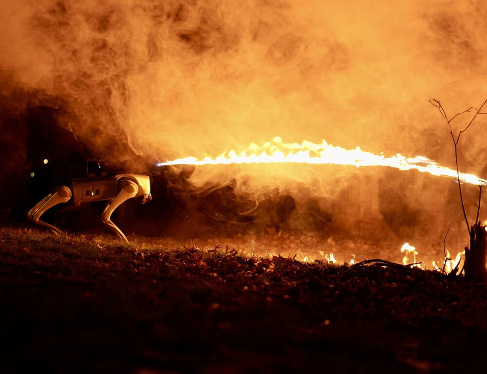 Le Thermonator, un chien robot de défense avec lance-flammes, est en promotion : voici le prix