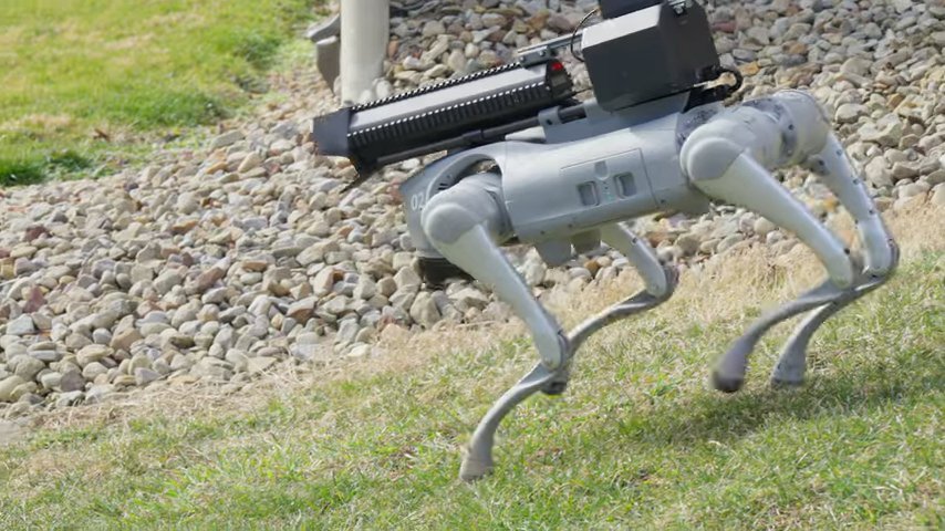 Le Thermonator, un chien robot de défense avec lance-flammes, est en promotion : voici le prix