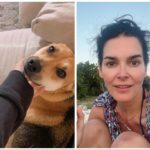 attrice Angie Harmon denuncia il rider: ha sparato e ucciso il mio cane