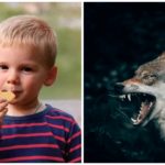 Niño despedazado por lobos: la última hipótesis sobre el niño encontrado muerto en los Alpes