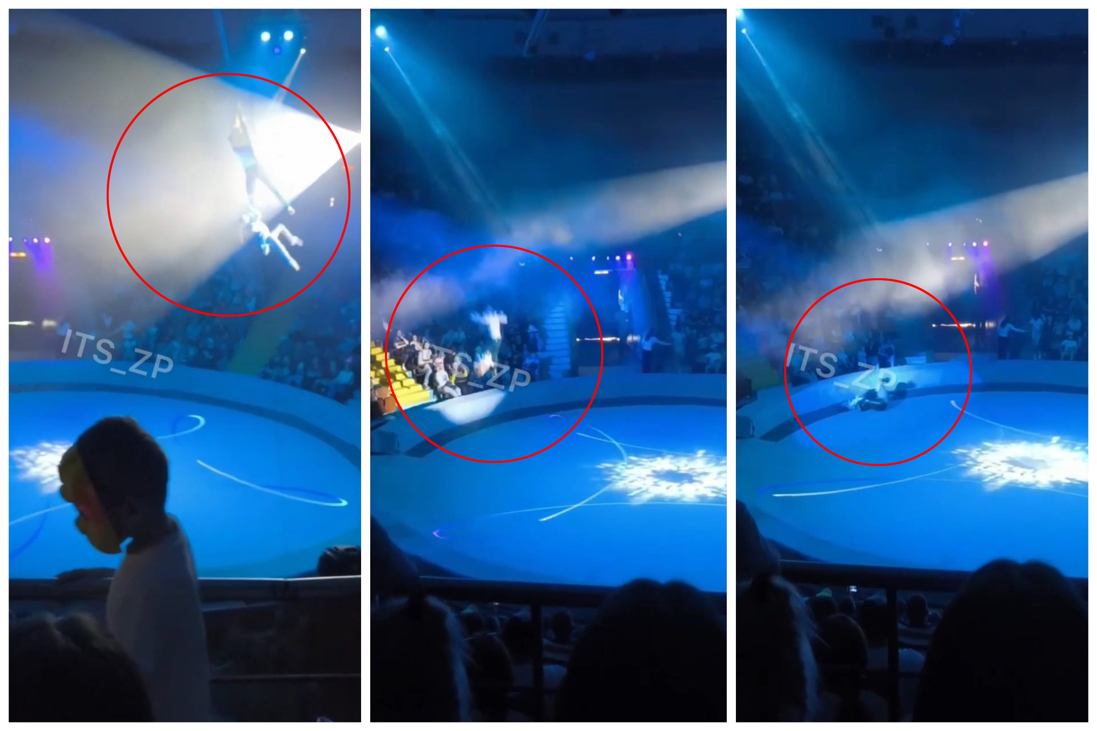 Il disastroso circo Ucraino tra acrobati che cadono e orsi che si ribellano