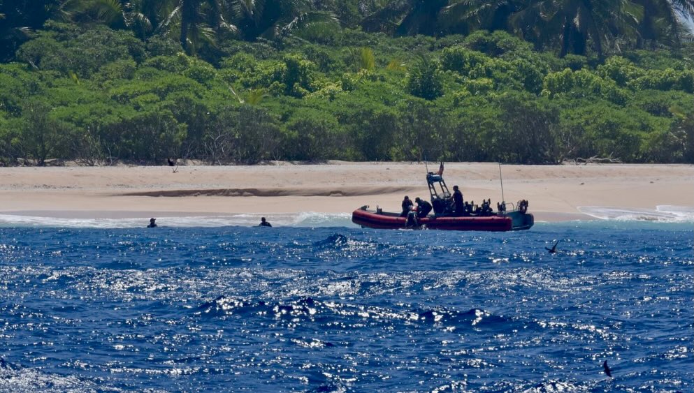 Naufragés sur une île déserte, ils se sauvent en écrivant "au secours" avec des palmiers