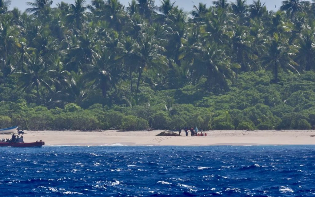 Naufragés sur une île déserte, ils se sauvent en écrivant "au secours" avec des palmiers