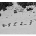 Naufraghi su isola deserta, si salvano scrivendo "aiuto" con le palme