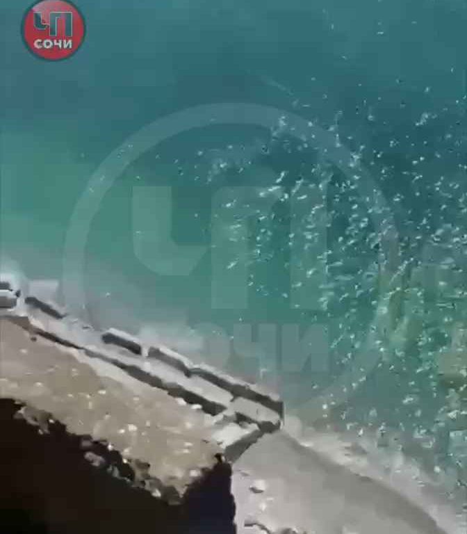 Turista cae de un barranco para hacerse un selfie en el último dramático vídeo