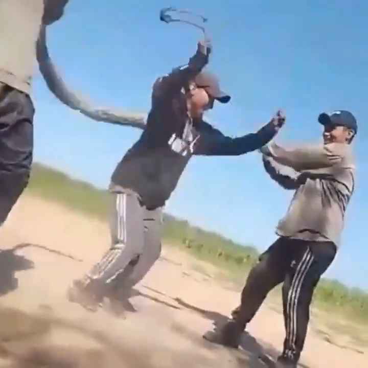 Usan una boa como cuerda para saltar Impactante video sobre la serpiente maltratada se hace viral