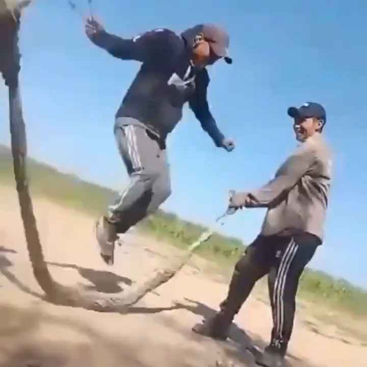 Usan una boa como cuerda para saltar Impactante video sobre la serpiente maltratada se hace viral