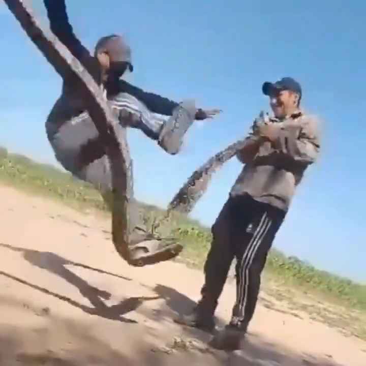 Usan una boa como cuerda para saltar Impactante video sobre la serpiente maltratada se hace viral