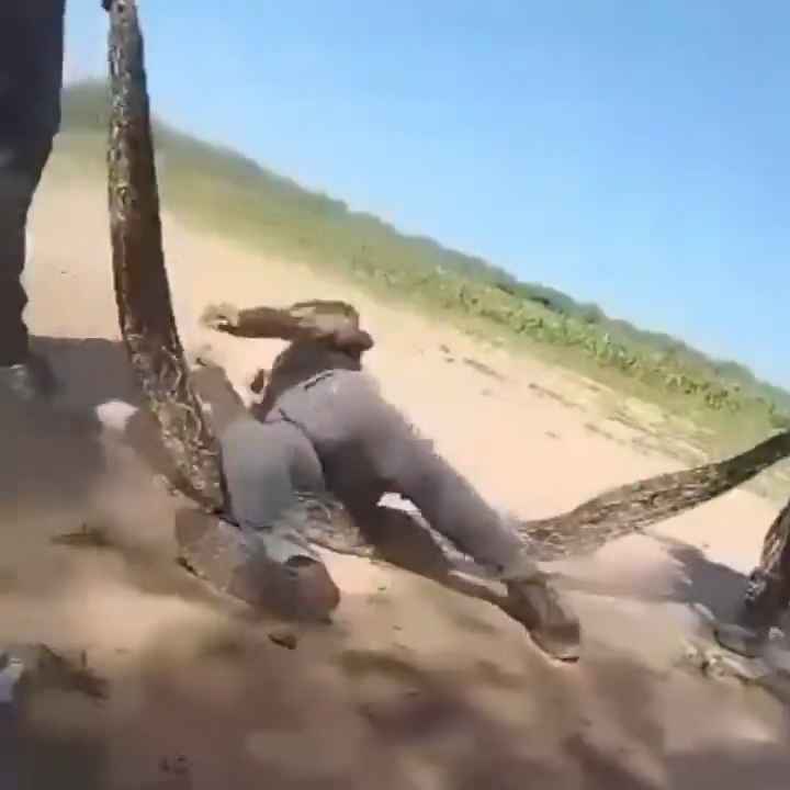 Usan una boa como cuerda para saltar Impactante video sobre la serpiente maltratada se hace viral