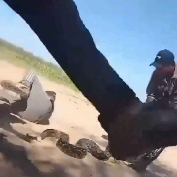 Usan una boa como cuerda para saltar Impactante video sobre la serpiente maltratada se hace viral