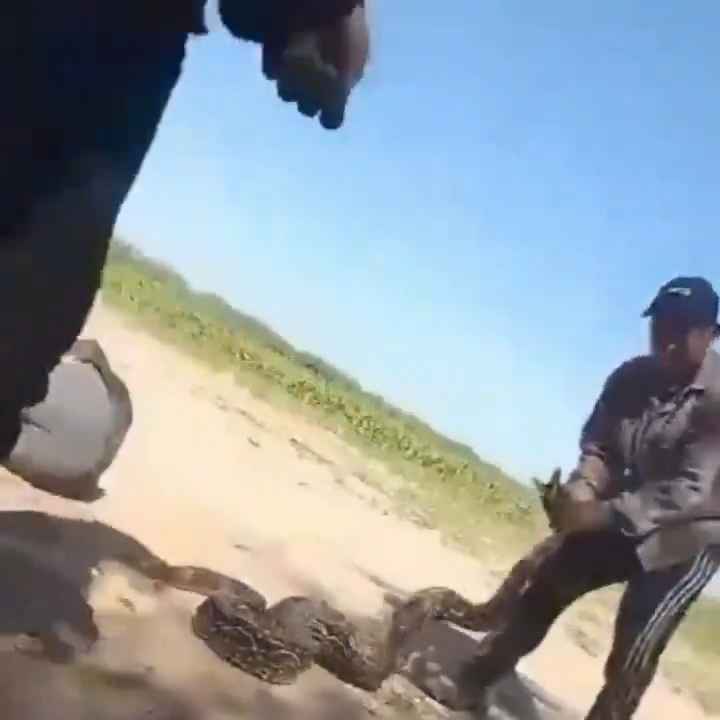 Usan una boa como cuerda para saltar Impactante video sobre la serpiente maltratada se hace viral