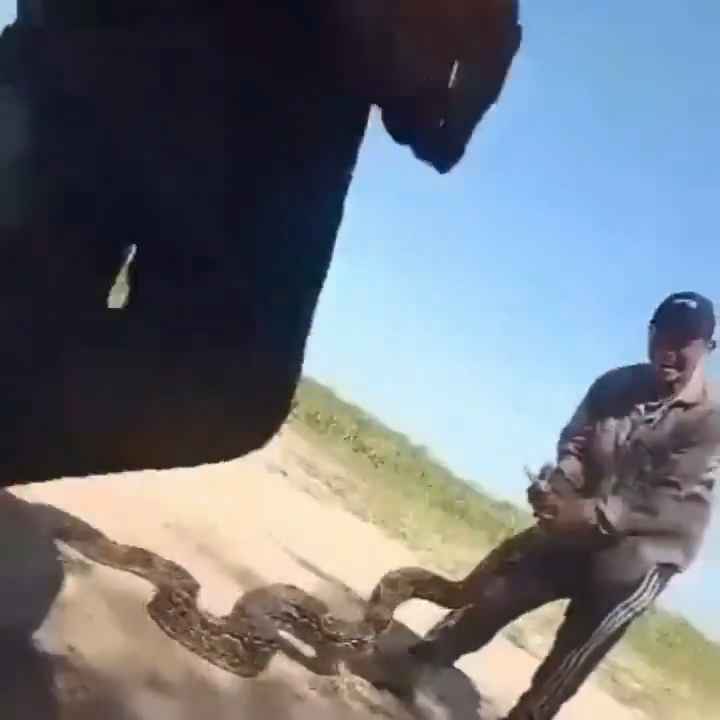 Usan una boa como cuerda para saltar Impactante video sobre la serpiente maltratada se hace viral