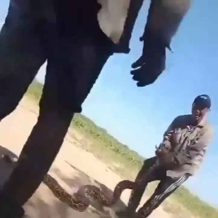 Usan una boa como cuerda para saltar Impactante video sobre la serpiente maltratada se hace viral