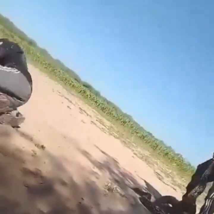 Usan una boa como cuerda para saltar Impactante video sobre la serpiente maltratada se hace viral