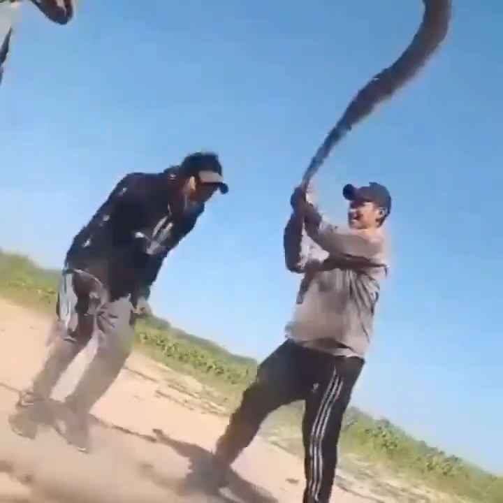 Usan una boa como cuerda para saltar Impactante video sobre la serpiente maltratada se hace viral