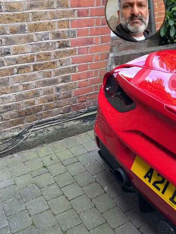 Volpe prend une Ferrari pour des toilettes et fait caca sur le moteur dans la vidéo