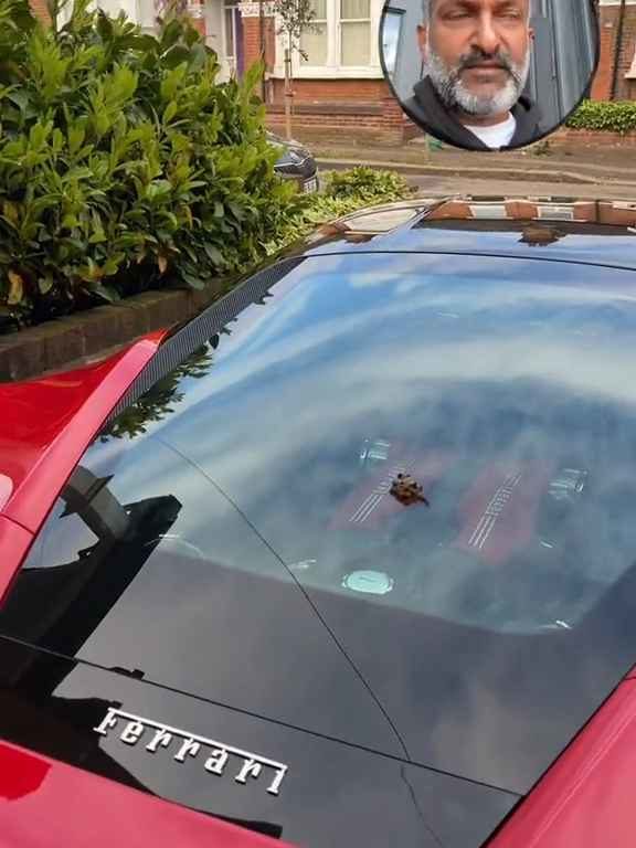 Volpe scambia una Ferrari per un water e fa la cacca sul motore il video