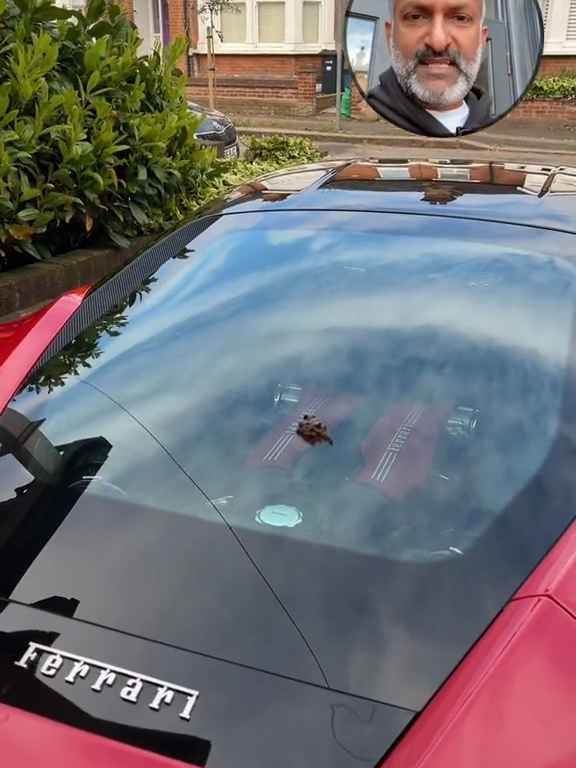 Volpe confunde un Ferrari con un inodoro y hace caca en el motor en el vídeo