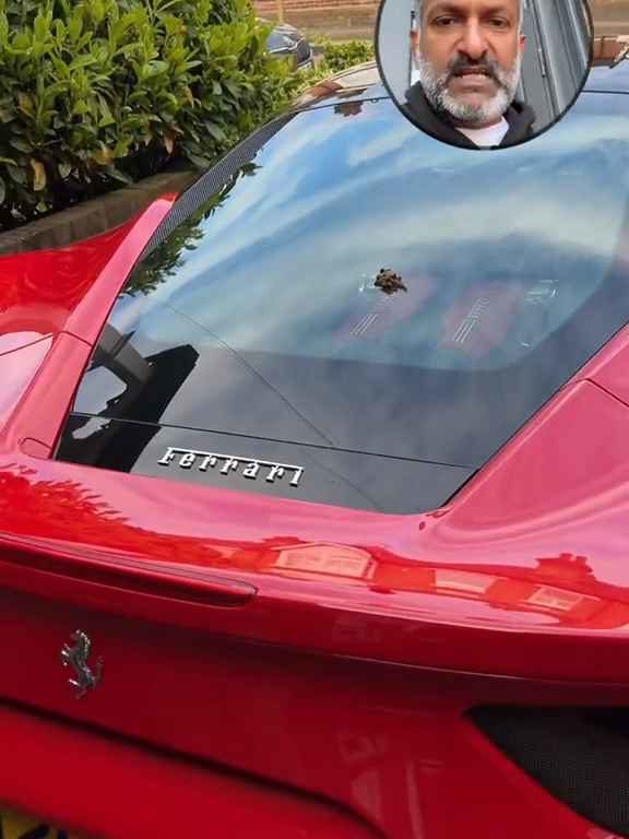 Volpe confunde un Ferrari con un inodoro y hace caca en el motor en el vídeo