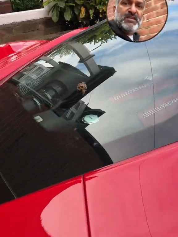 Volpe confunde un Ferrari con un inodoro y hace caca en el motor en el vídeo