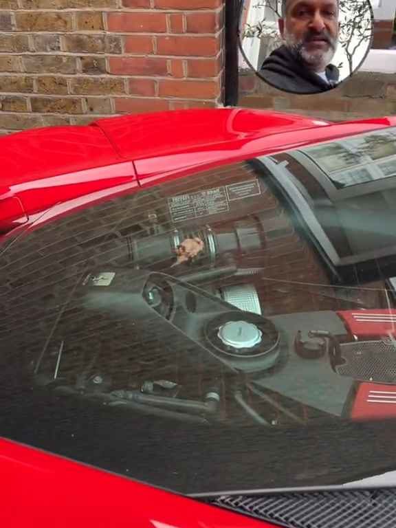 Volpe confunde un Ferrari con un inodoro y hace caca en el motor en el vídeo