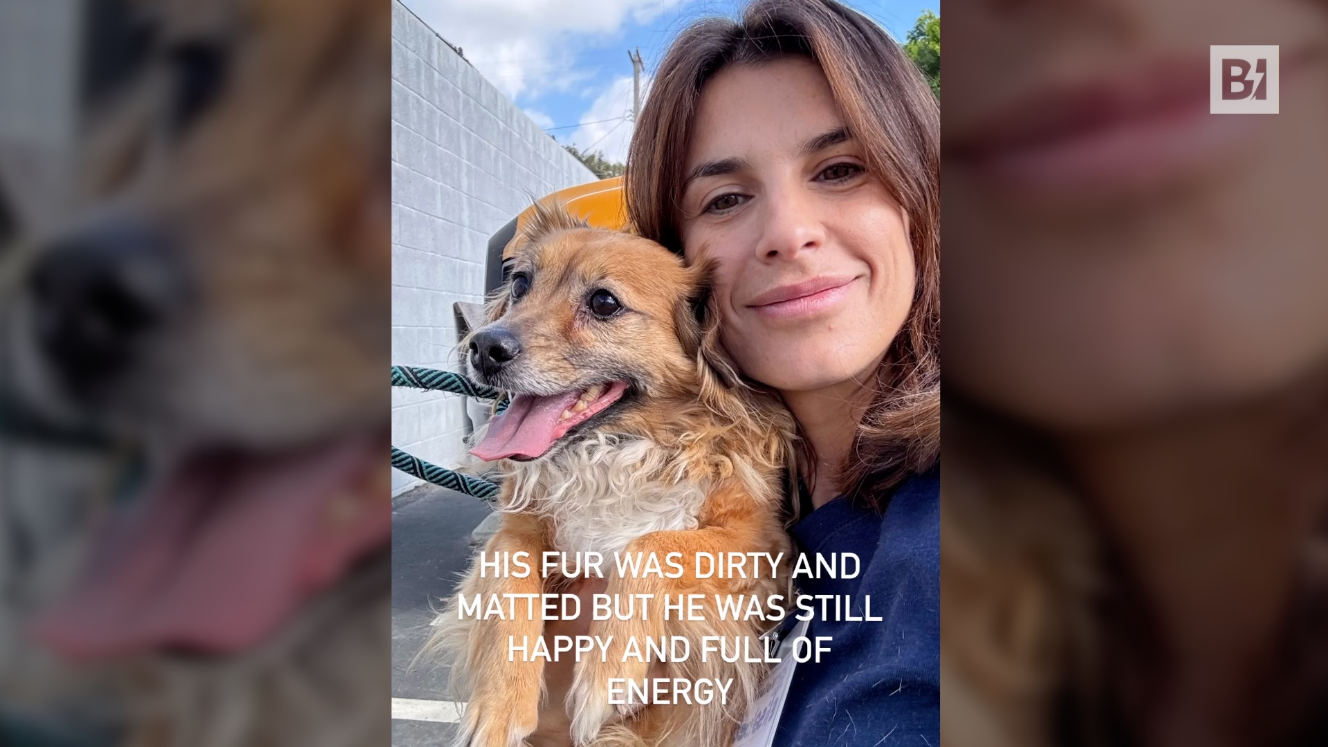 Elisabetta Canalis presenta il nuovo arrivato in famiglia