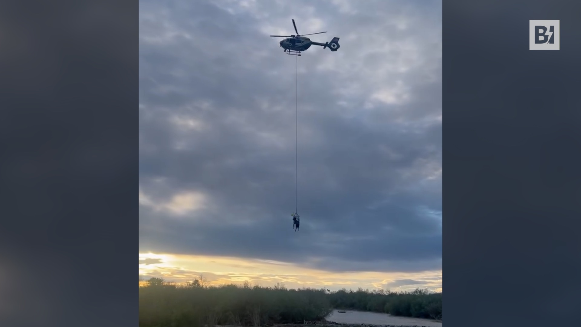 Cavallo bloccato nel fango: spettacolare salvataggio